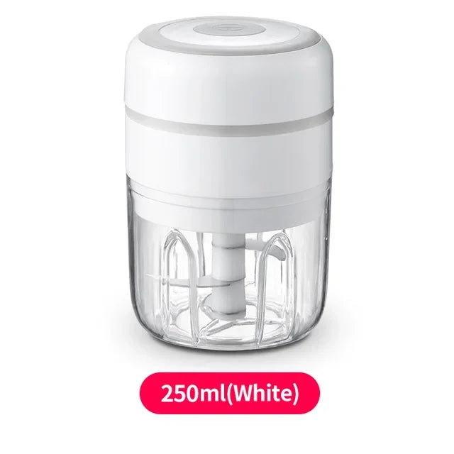 Electric Mini Food Chopper & Grinder